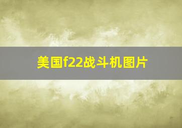 美国f22战斗机图片