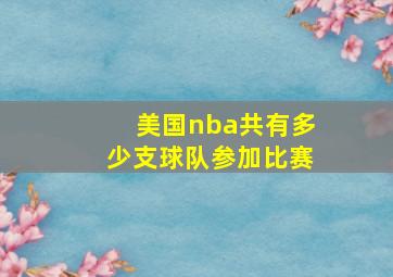 美国nba共有多少支球队参加比赛