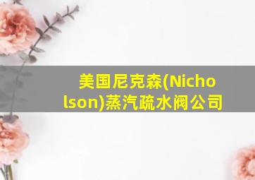 美国尼克森(Nicholson)蒸汽疏水阀公司