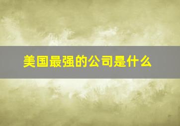 美国最强的公司是什么