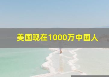 美国现在1000万中国人