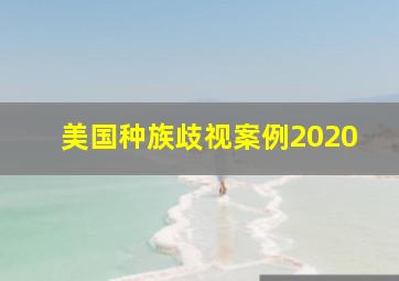 美国种族歧视案例2020