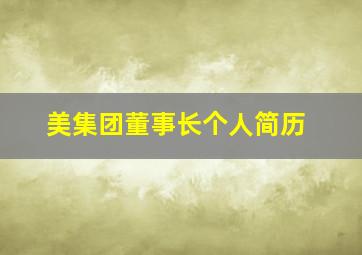 美集团董事长个人简历