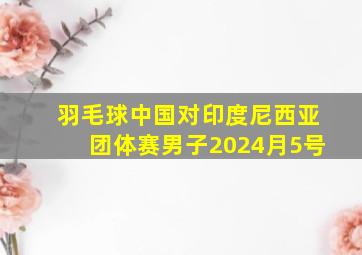 羽毛球中国对印度尼西亚团体赛男子2024月5号