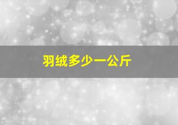 羽绒多少一公斤