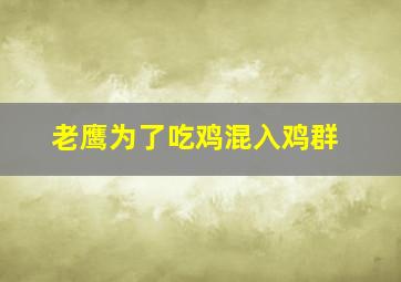 老鹰为了吃鸡混入鸡群