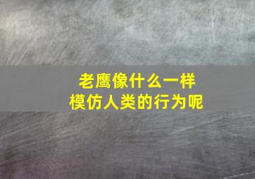 老鹰像什么一样模仿人类的行为呢