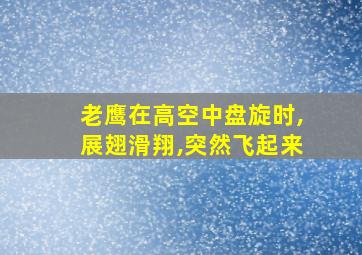 老鹰在高空中盘旋时,展翅滑翔,突然飞起来