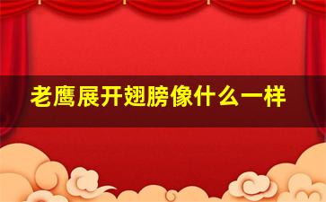 老鹰展开翅膀像什么一样