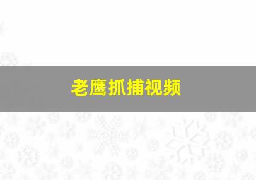 老鹰抓捕视频