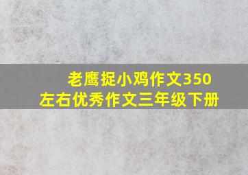 老鹰捉小鸡作文350左右优秀作文三年级下册