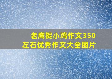 老鹰捉小鸡作文350左右优秀作文大全图片