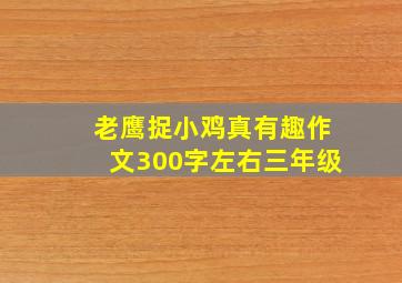 老鹰捉小鸡真有趣作文300字左右三年级