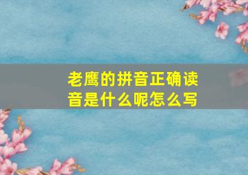 老鹰的拼音正确读音是什么呢怎么写