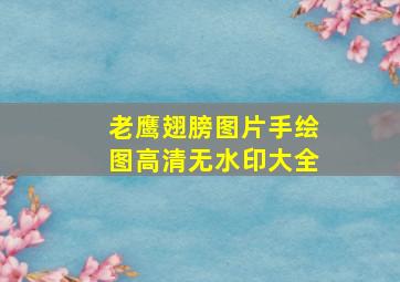 老鹰翅膀图片手绘图高清无水印大全