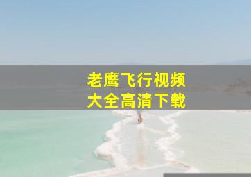 老鹰飞行视频大全高清下载