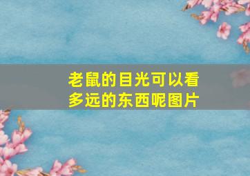 老鼠的目光可以看多远的东西呢图片