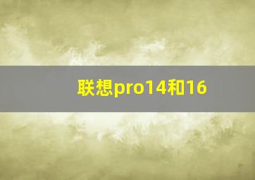 联想pro14和16