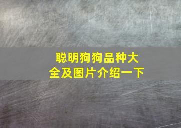 聪明狗狗品种大全及图片介绍一下