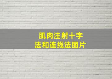 肌肉注射十字法和连线法图片