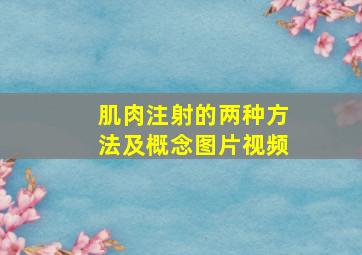 肌肉注射的两种方法及概念图片视频