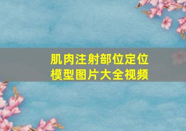 肌肉注射部位定位模型图片大全视频