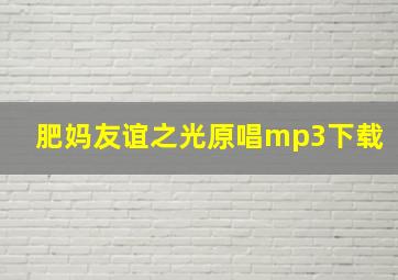 肥妈友谊之光原唱mp3下载