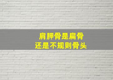 肩胛骨是扁骨还是不规则骨头