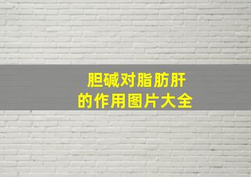 胆碱对脂肪肝的作用图片大全