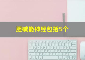 胆碱能神经包括5个