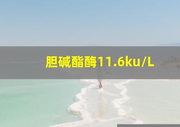 胆碱酯酶11.6ku/L