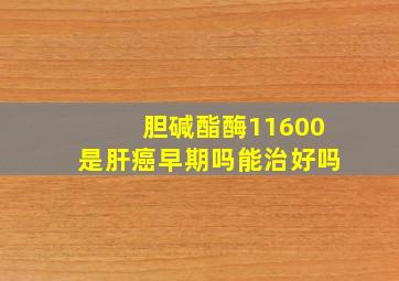 胆碱酯酶11600是肝癌早期吗能治好吗