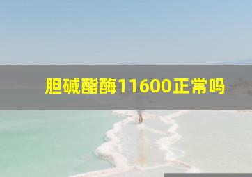 胆碱酯酶11600正常吗