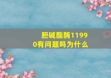 胆碱酯酶11990有问题吗为什么