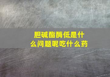 胆碱酯酶低是什么问题呢吃什么药