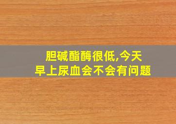 胆碱酯酶很低,今天早上尿血会不会有问题