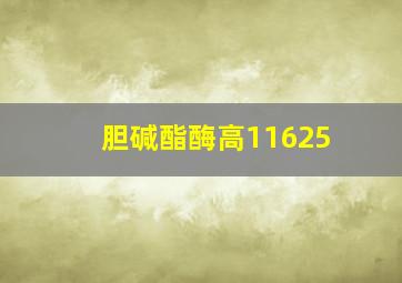 胆碱酯酶高11625