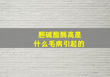 胆碱酯酶高是什么毛病引起的