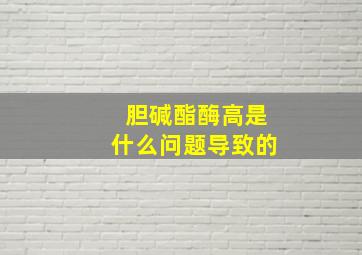 胆碱酯酶高是什么问题导致的