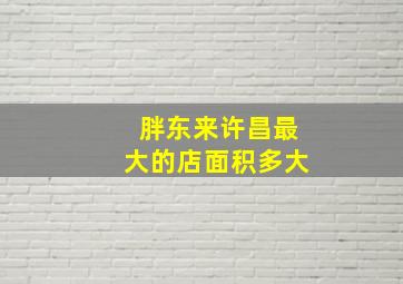 胖东来许昌最大的店面积多大