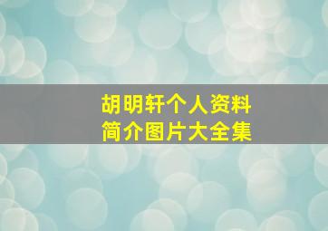 胡明轩个人资料简介图片大全集