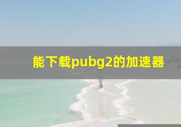 能下载pubg2的加速器