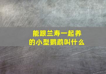 能跟兰寿一起养的小型鹦鹉叫什么