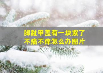 脚趾甲盖有一块紫了不痛不痒怎么办图片