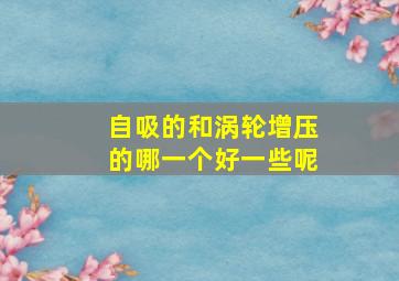 自吸的和涡轮增压的哪一个好一些呢