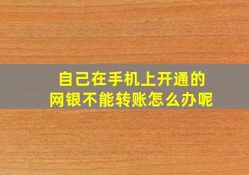 自己在手机上开通的网银不能转账怎么办呢