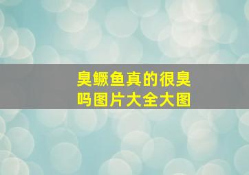 臭鳜鱼真的很臭吗图片大全大图