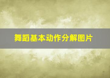 舞蹈基本动作分解图片