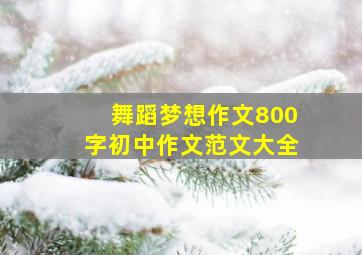 舞蹈梦想作文800字初中作文范文大全