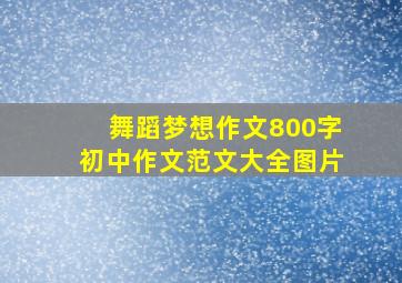 舞蹈梦想作文800字初中作文范文大全图片